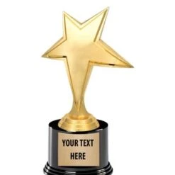 8" Gold & Silver Luminary Star Deluxe Trophy