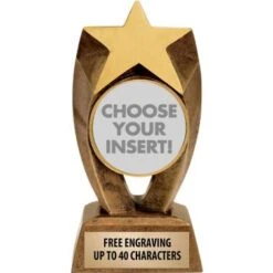 Asteroid Insert Sculptures