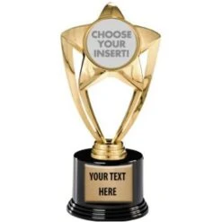7" Gold And Silver Star Insert Deluxe Trophy