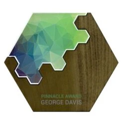 Hexagon Hex Puzzle Modern Mixed Material Award