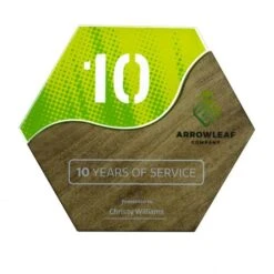 Hexagon Wave Puzzle Modern Mixed Material Award